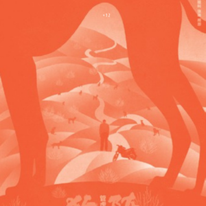 CINE CLUB LUIS BUÑUEL: Black dog